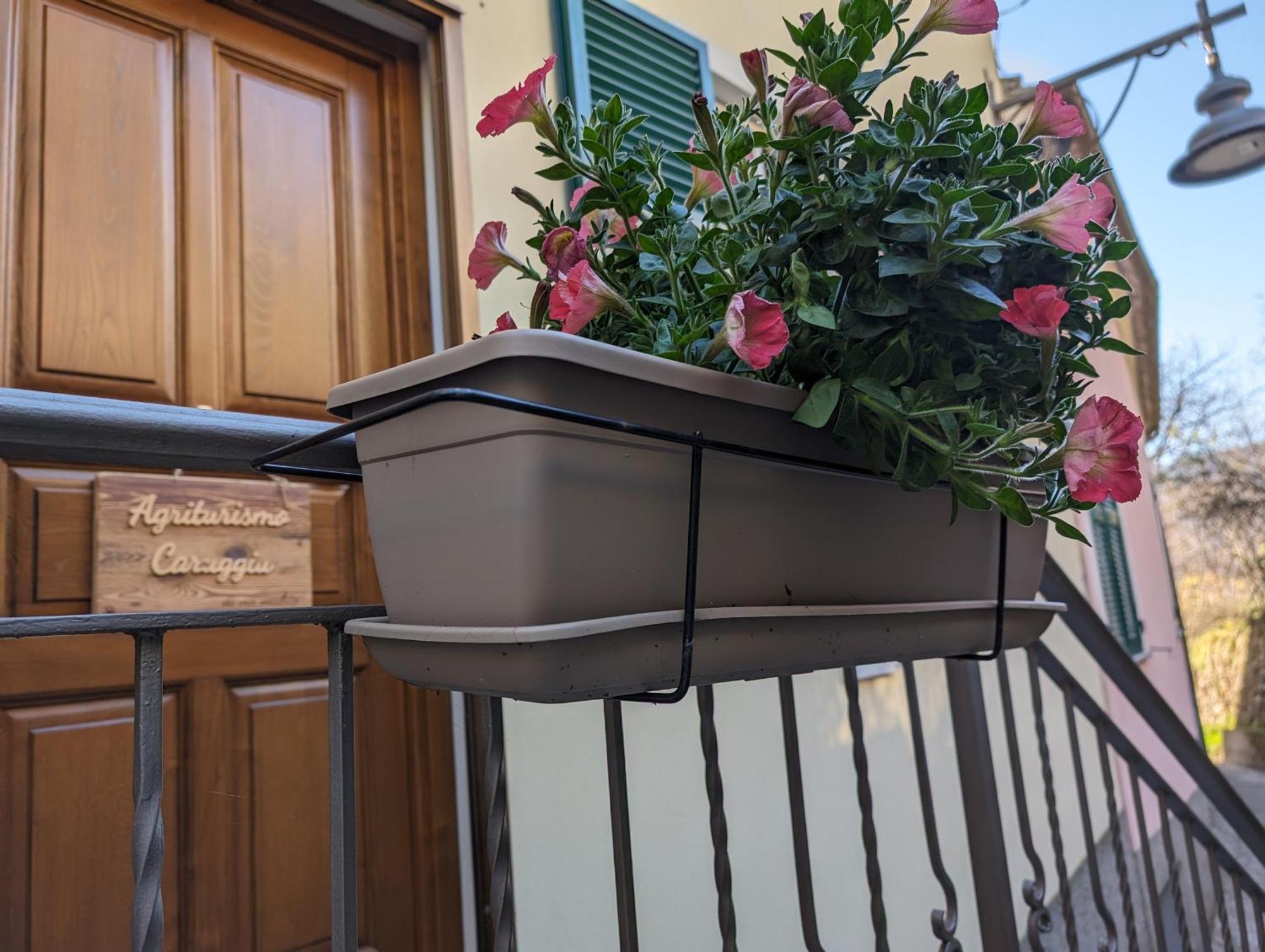Agriturismo Caruggiu Di Via Vecchia 오르코 펠리노 외부 사진