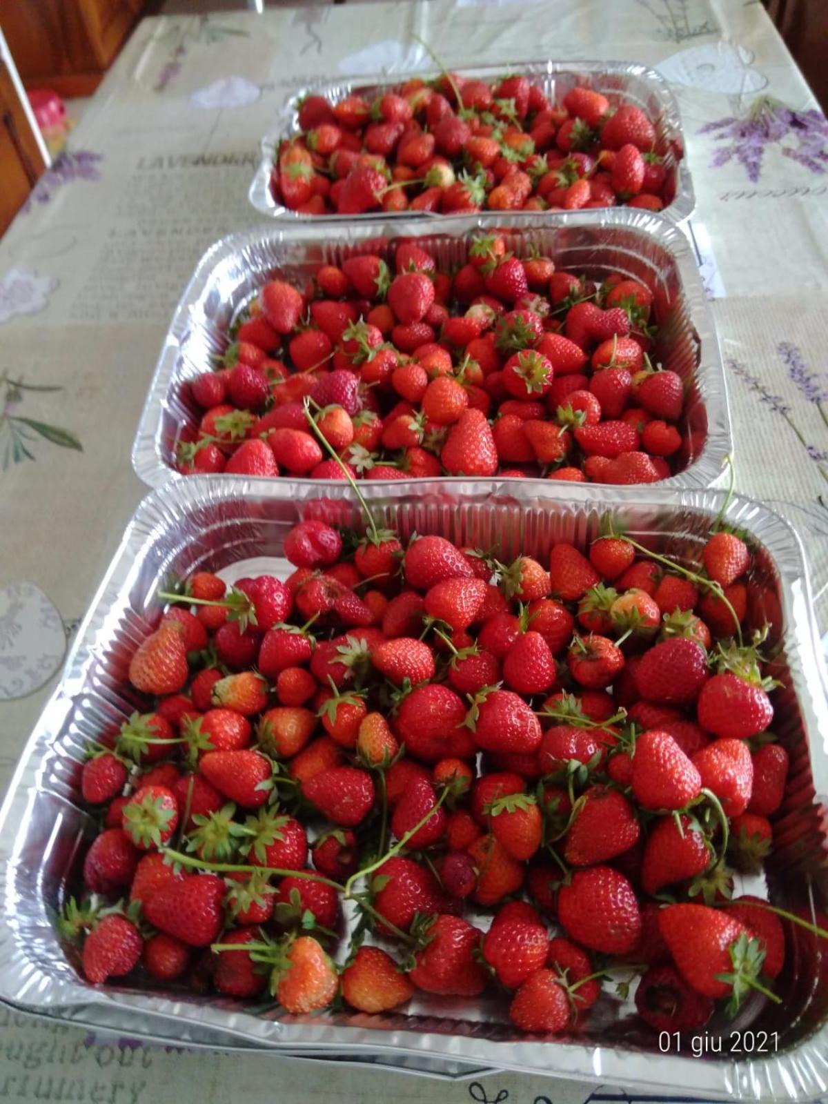 Agriturismo Caruggiu Di Via Vecchia 오르코 펠리노 외부 사진